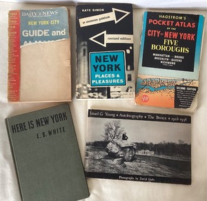 lot 73 image: Group of 5 Vintage New York City Books