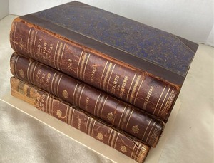 lot 72 image: Minnesota in the Civil and Indian Wars 1861-1865