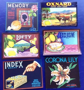lot 102 image: Group of Vintage Fruit Crate Labels  #1