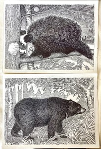 lot 156 image: Group of Pete Bastiansen Pen & Ink Drawings #1