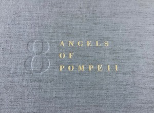lot 176 image: Angels of Pompeii - Robert Bly and Stephen Brigidi