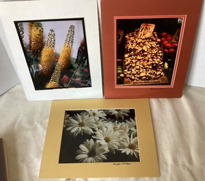 lot 200 image: Group of Frameable Photographs