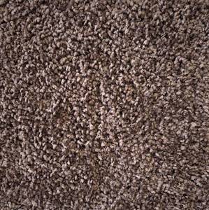 lot 21 image: 12 x 1486 (1782 Sq Ft) Shaw Expect More Chocolate Chip Carpet Roll