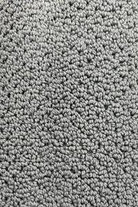 lot 36 image: 12 x 19 (228 Sq Ft) Carpet Remnant