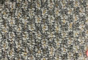 lot 37 image: 12 x 386 (462 Sq Ft) Carpet Remnant