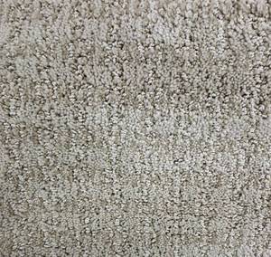 lot 45 image: 12 x 19 (228 Sq Ft) Shaw Designers Trend Cheviot Carpet Remnant