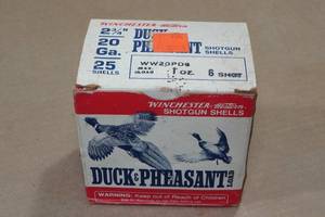 25 Winchester 20 Gauge 2-34 6 Shot Shotshells
