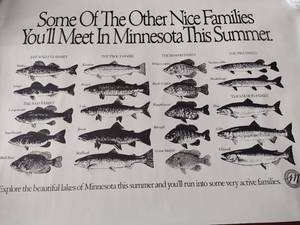 Assorted Animal Posters