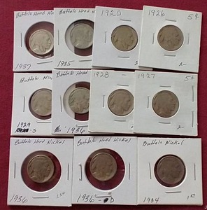 (11) Buffalo Nickels