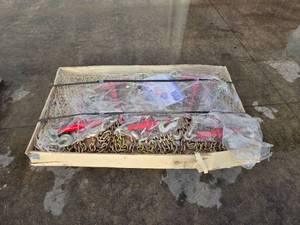 lot 56 image: Landhoner Chains & Ratchet Binders  38