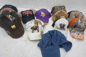 lot 211 image: 17 caps, including Vikings, Timberwolves, MN Twins and labrador