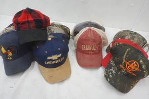 lot 210 image: caps