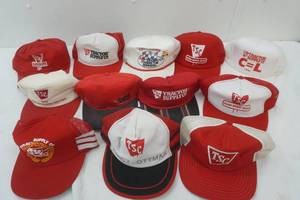 lot 213 image: 12 caps, AC Delco with pins, TSC and more