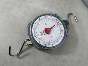 New Taylor 70 lb Hanging Scale