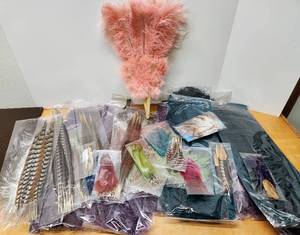 lot 263 image: LARGE Lot of Brand New Fancy Feathers - Many Different Sizes Shapes and Colors