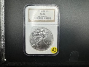 2004 American Silver Eagle NGC MS69 - NGC Price Guide for an MS69 is $65