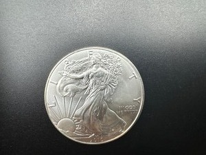 2016 Uncirculated American Siver Eagle