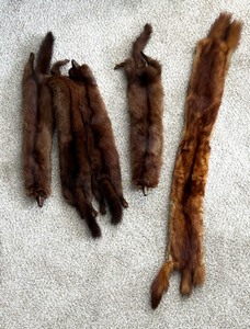 lot 294 image: Vintage Fur Pelts