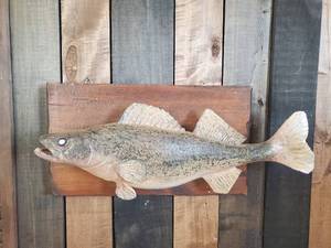 lot 18 image: Fantastic Stuart Tollefsen Ceramic Walleye Art WOW
