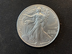 2024 Silver Eagle
