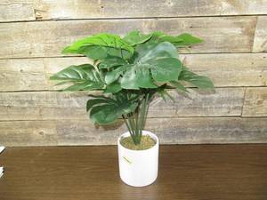 lot 41 image: Artificial Potted Monstera Plant - project 62