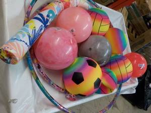 lot 96 image: Balls, Fun Hoops, and Water Toy...