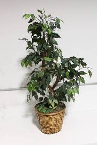 lot 98 image: Artificial Potted Green Foliage Tree in Woven Basket