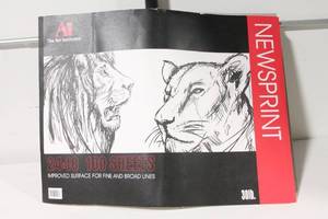 lot 132 image: Art Institute Newsprint Pad - 24x18, 100 Sheets, 30lb