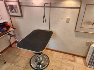 lot 9 image: Pet Grooming Table