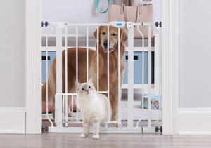 lot 291 image: Carlson Extra Wide Walk Through Pet Gate with Small Pet Door, Pressure Mount Kit Included, Stands 30 Tall & Extends 29-36.5 Wide