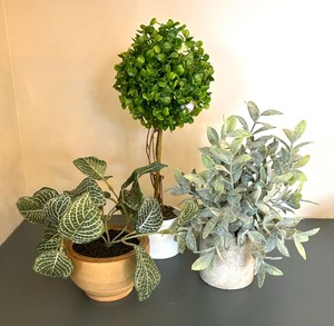 lot 91 image: Fine Faux Greenery