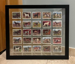 lot 294 image: Floating Frame with Many Beautiful Dog Prints