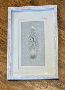 lot 377 image: Beautiful Framed Feather Decor