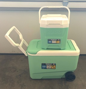 lot 463 image: Igloo 12 and 38 Quart Coolers