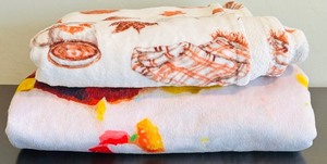 lot 207 image: 2 Blankets Including A Fall Theme and A Poptart Blanket