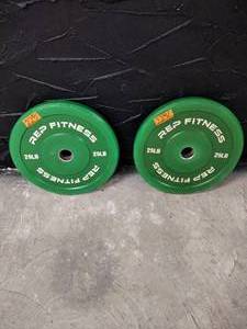 lot 22 image: (2) Rep Fitness 25lb Bumper Plates