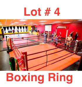 lot 4 image: Boxing Ring 16 x 16