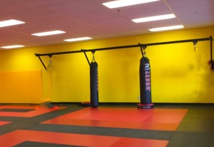 lot 6 image: 2 Zebra Punching Bags and Bag Hanging System which can hold 4 Bags.