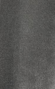 lot 38 image: 12 x 11 (132 Sq Ft) Mohawk Creative Thinking Carpet Remnant