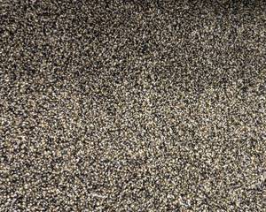 lot 26 image: 12 x 146 (174 Sq Ft) Dune Holly Carpet Remnant