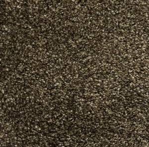 lot 29 image: 12 x 222 (266 Sq Ft) Tuftex Profeta Carpet Remnant