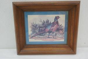 lot 186 image: Pheasant print. 13x 11