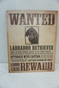 lot 197 image: Labrador Retriever metal sign. 12x 16