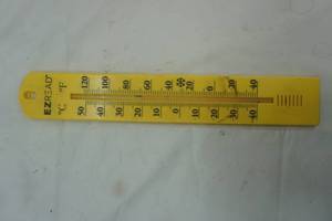 lot 363 image: EZ READ thermometer