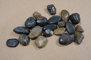lot 179 image: Assorted Petrified Wood
