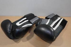 lot 289 image: Everlast 14 Oz Boxing Gloves