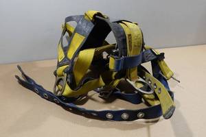 lot 351 image: DBI Sala Fall Protection Harness