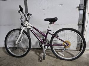 lot 14 image: Schwinn Mountain Bike with Purple Frame