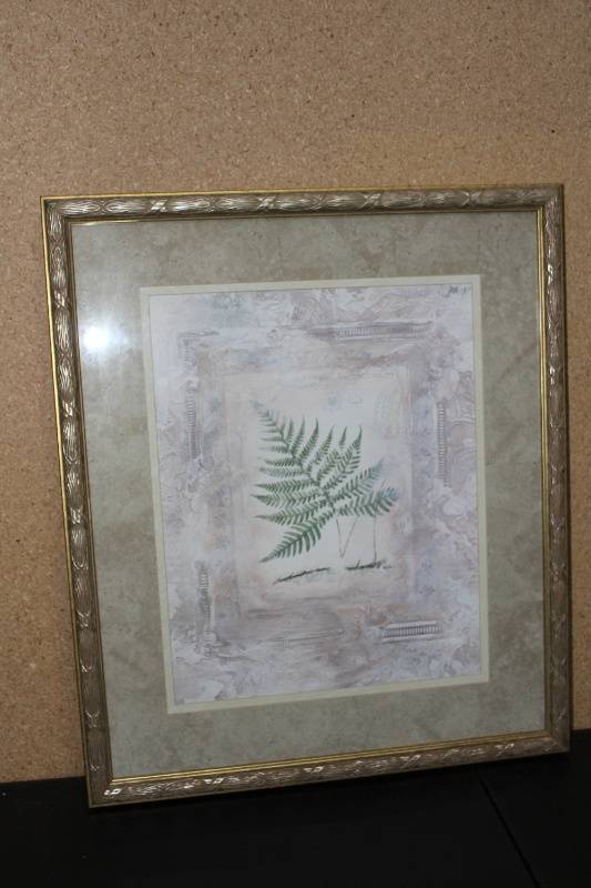 lot N-179 image: Framed Botanical Art Print of Fern