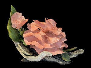 lot 158 image: Vintage Boheme Bone Porcelain Roy Hartley Begonia